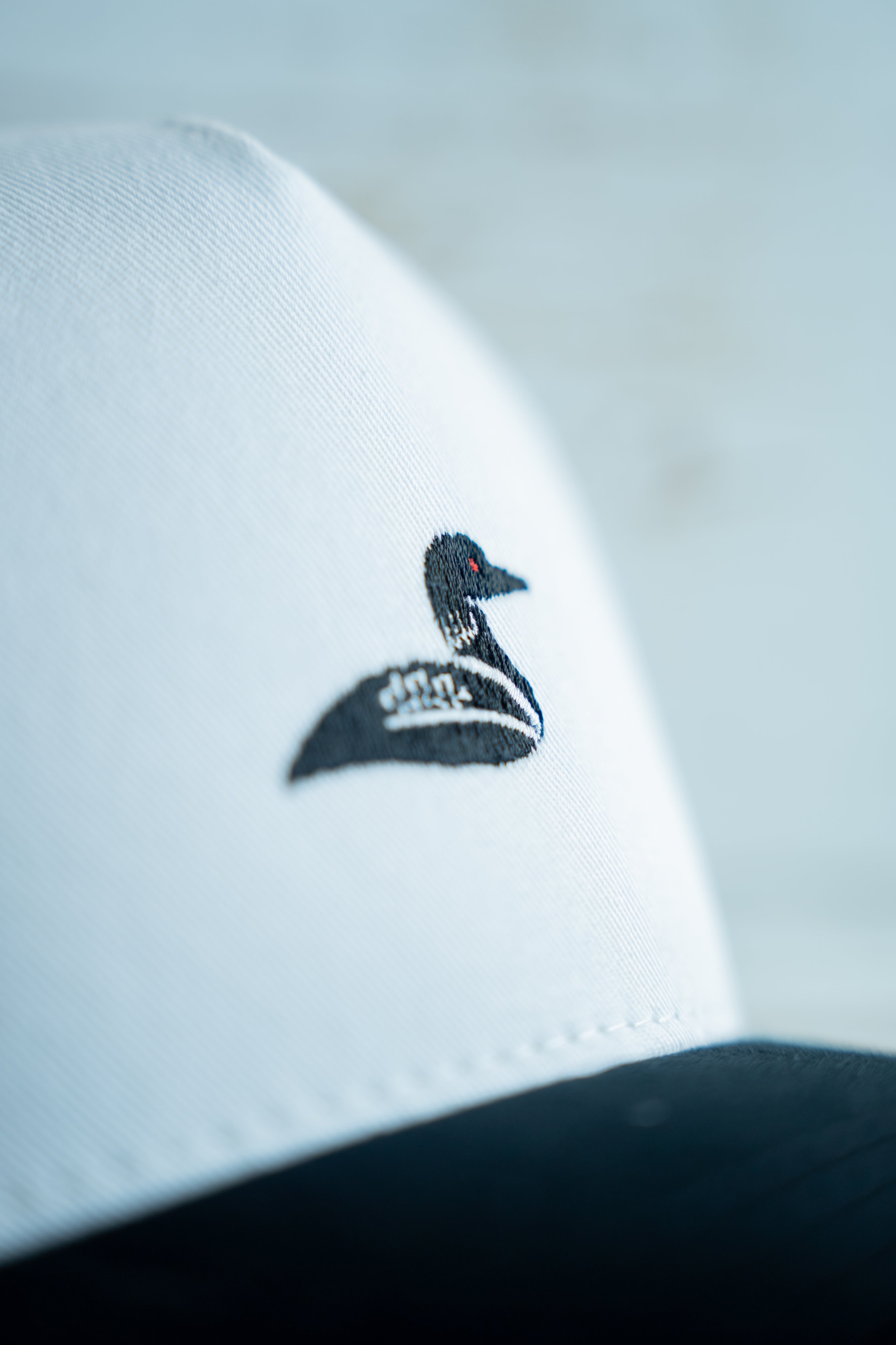 Common 2Tone Loon Snapback