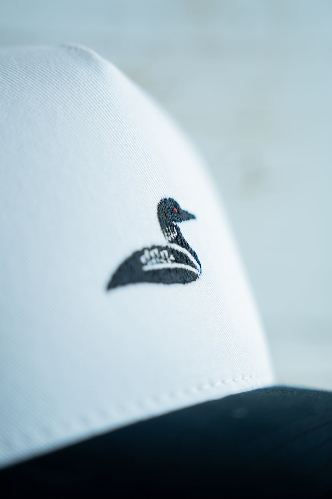 Common 2Tone Loon Snapback