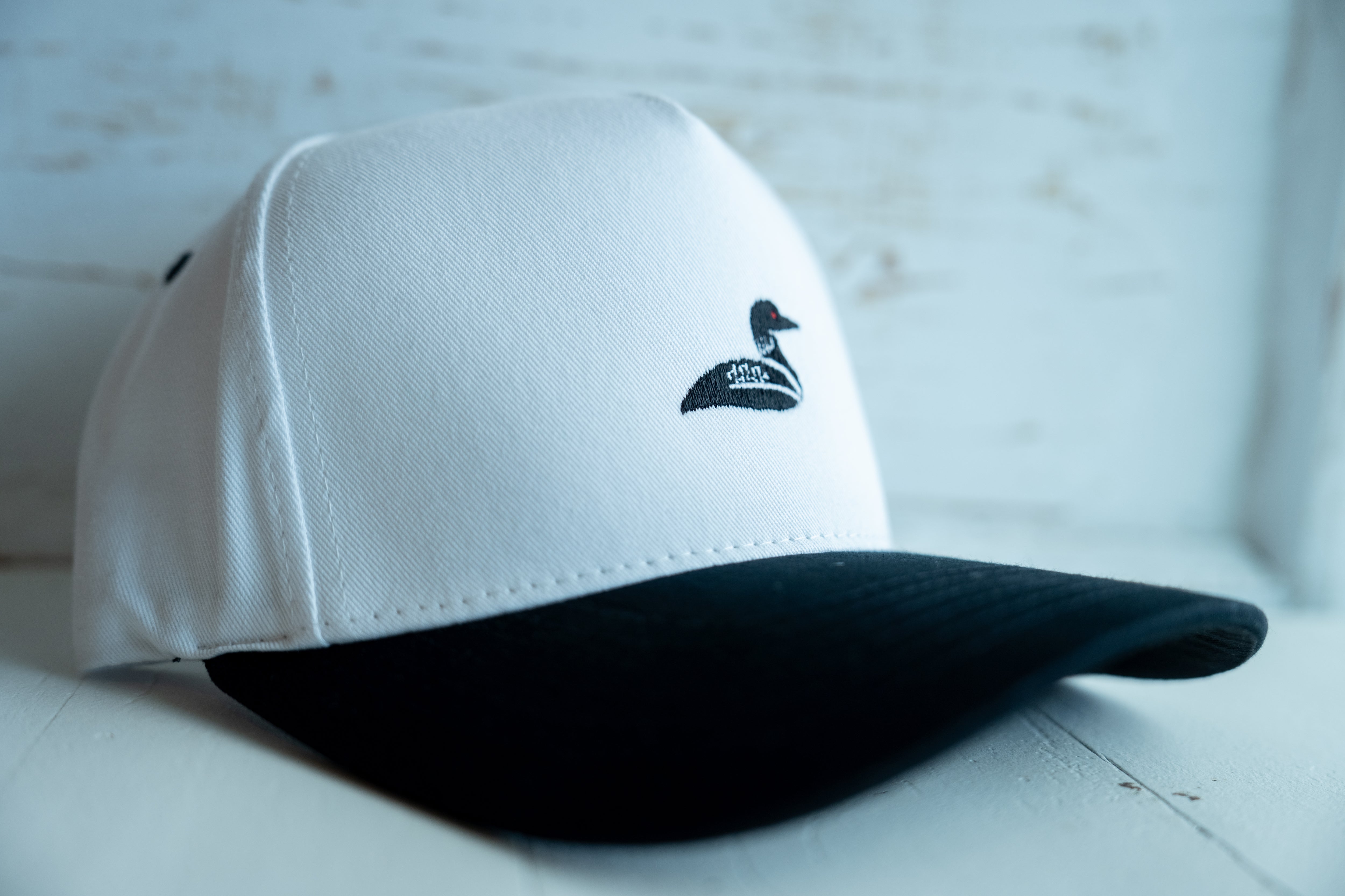Common 2Tone Loon Snapback
