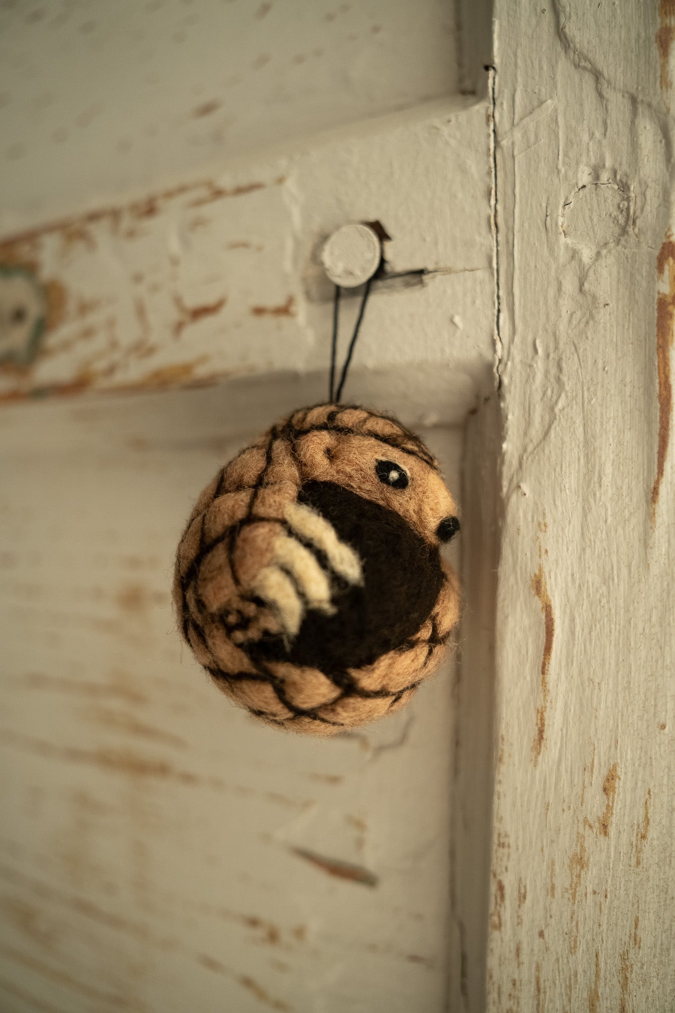 Cozy Curl Pangolin Felti