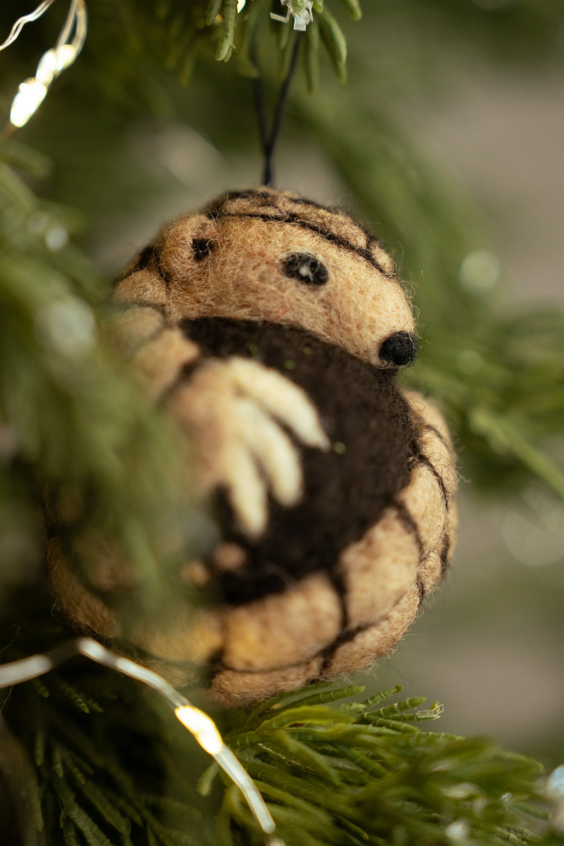 Cozy Curl Pangolin Felti