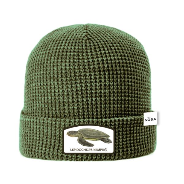 Classic Eh’ Tuque | Kemps Ridley Turtle