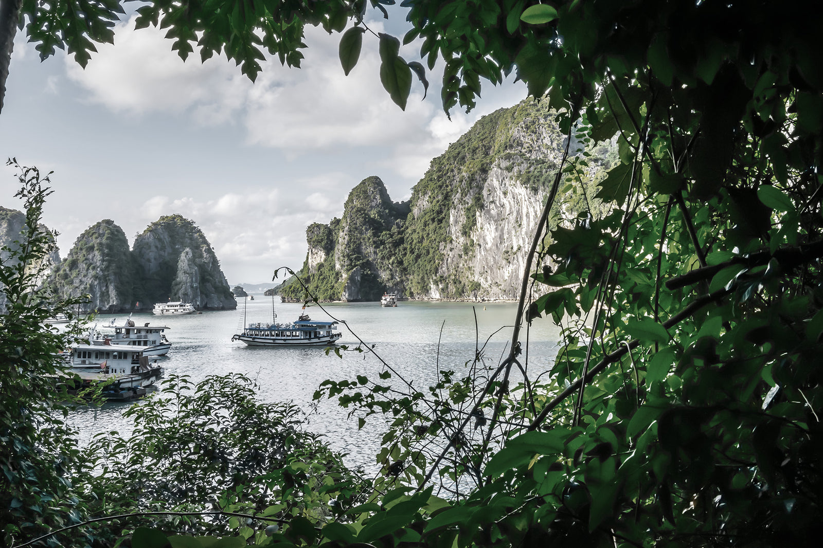 South / Southeast Asia